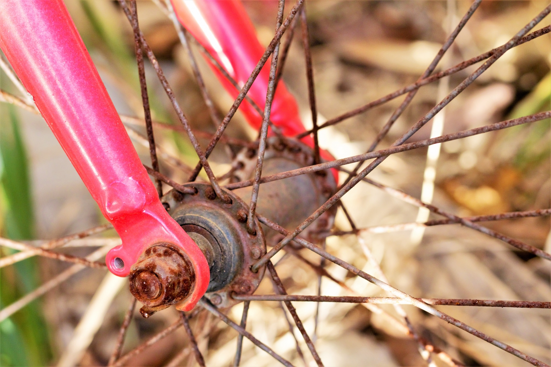 自転車の寿命